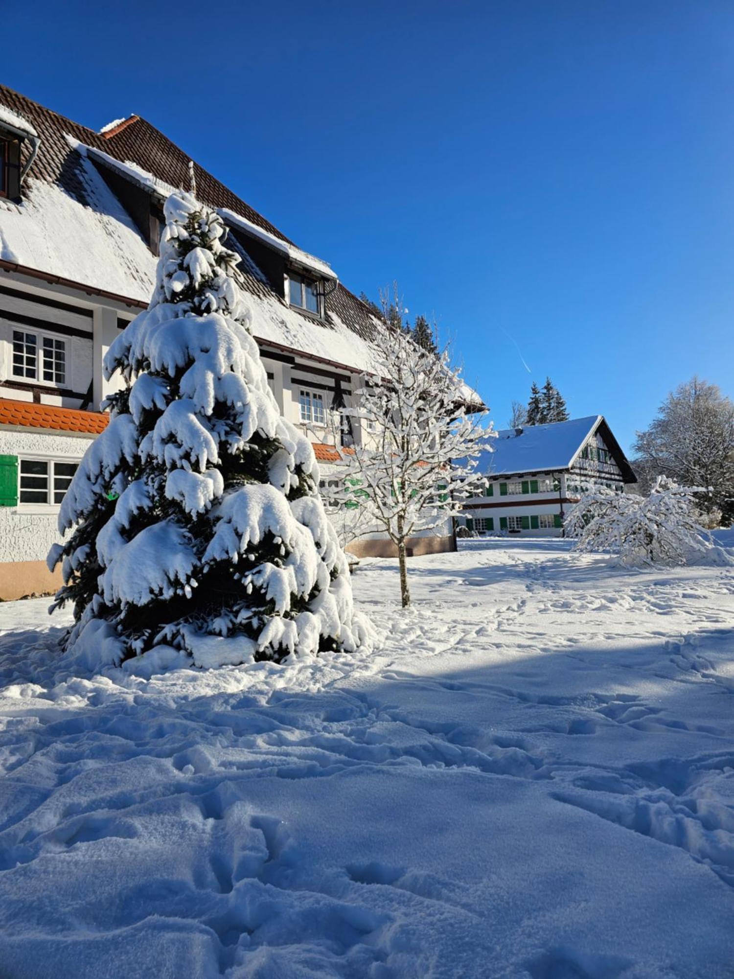 Allgaeu Residenz Natur & Spa Gmbh Wiggensbach Εξωτερικό φωτογραφία