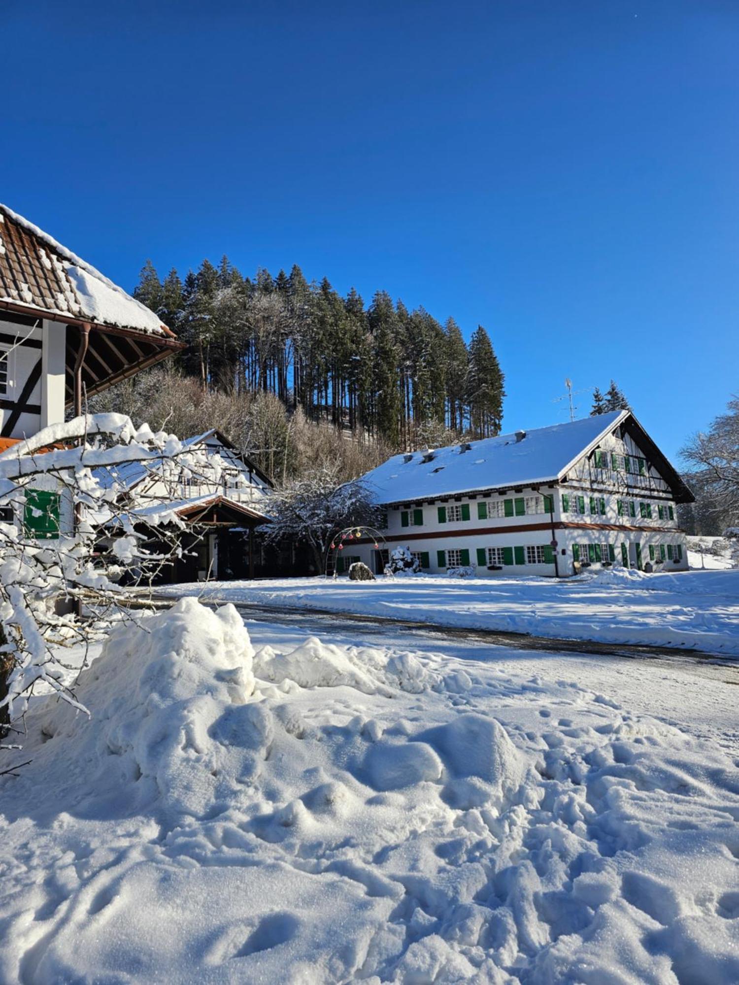 Allgaeu Residenz Natur & Spa Gmbh Wiggensbach Εξωτερικό φωτογραφία